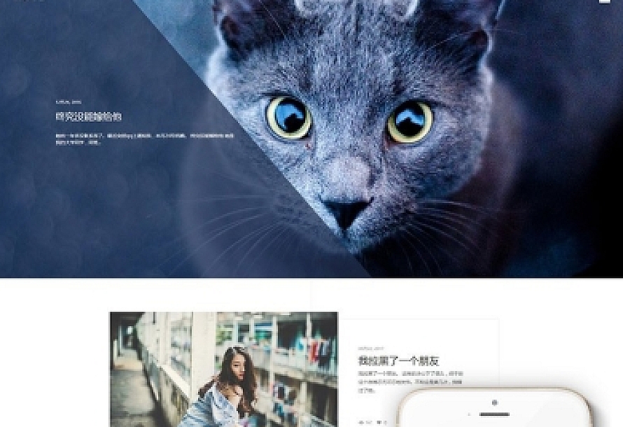 织梦HTML5清新文艺个人博客文章类织梦模板(支持移动设备)