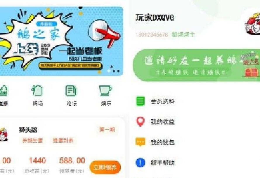 机器人区块挂机挖矿理财圈赚钱分红系统源码 带安装教程