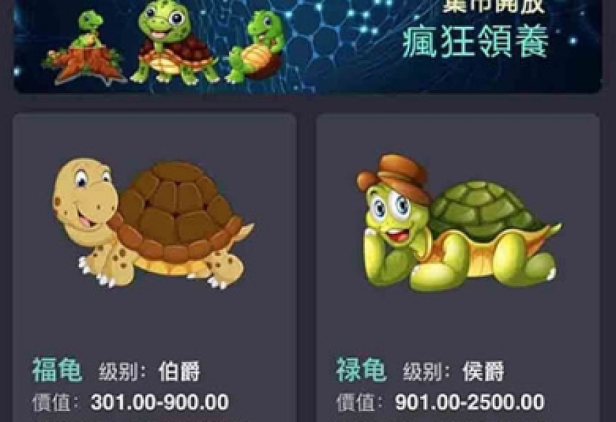 最新版区块链养龟系统源码、养殖区块链、完美运营版本