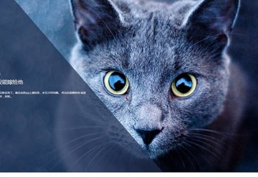 织梦HTML5清新文艺个人博客文章类织梦模板(支持移动设备)