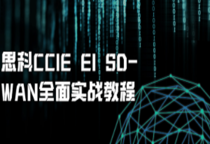 思科CCIE EI SD-WAN全面实战教程