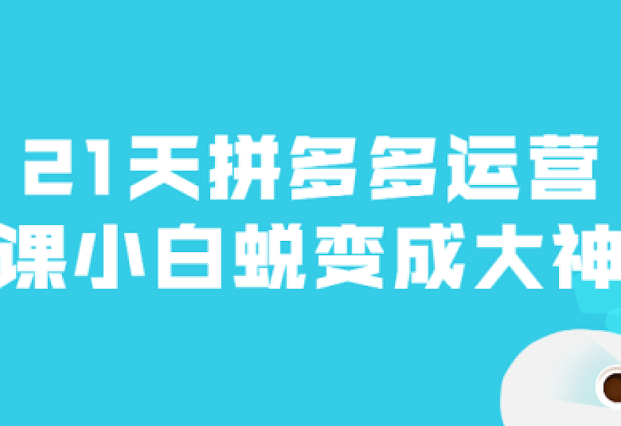 21天拼多多运营课小白蜕变成大神