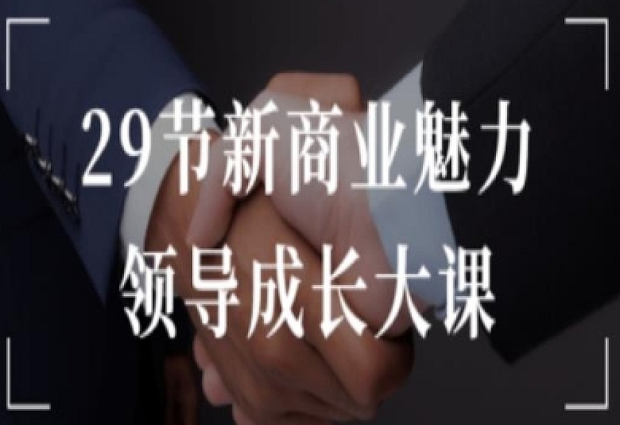 29节新商业魅力领导成长大课