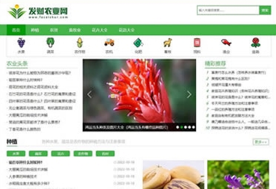帝国cms7.5【仿发财农业网】 农业知识养殖技术花卉大全发财树栽培模板