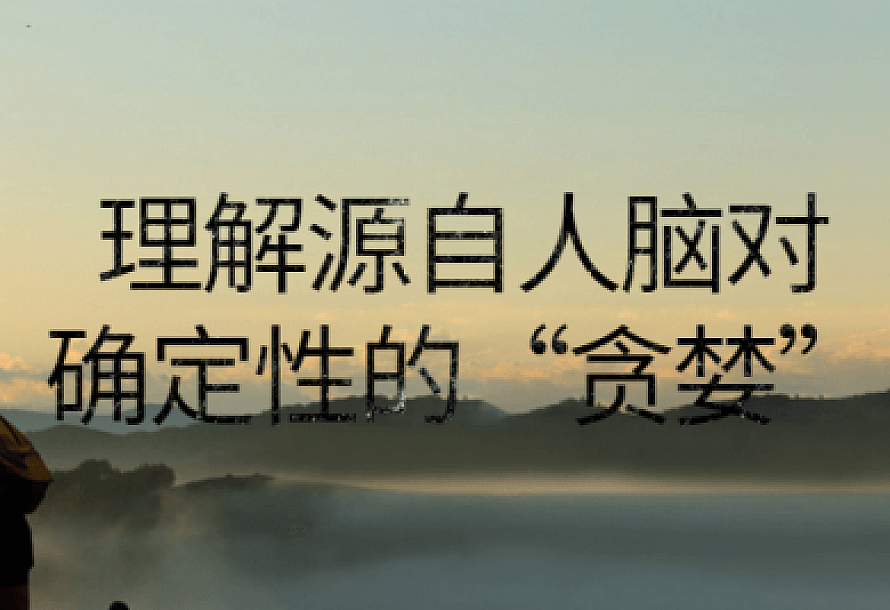 理解源自人脑对确定性的“贪婪”