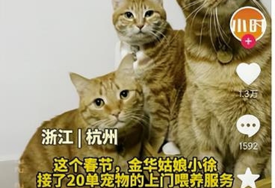 同城副业,日赚800块,有点累但是很赚钱!