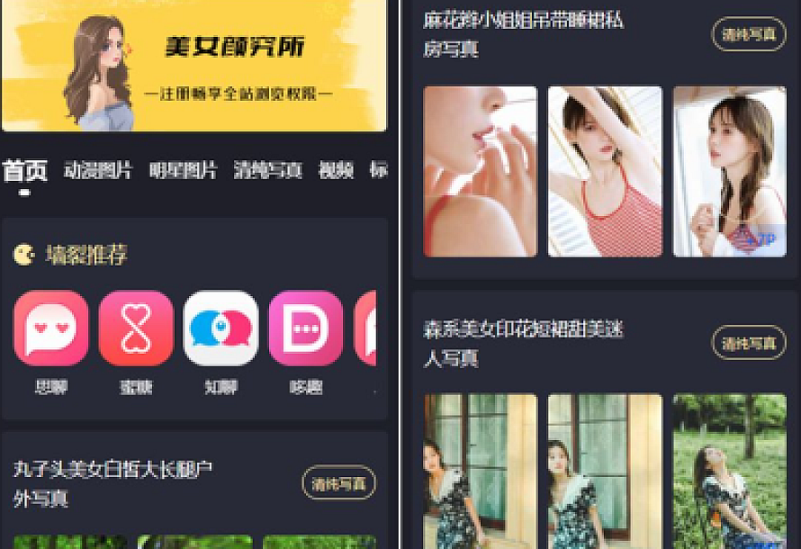 最新抖你妹原版主题源码仿抖音模式套图SEO源码_WordPress图片主题