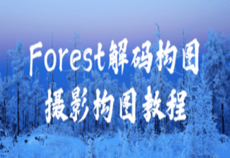 Forest解码构图摄影构图教程