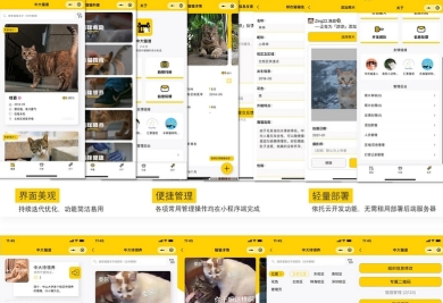 校园流浪猫信息记录和分享的小程序源码