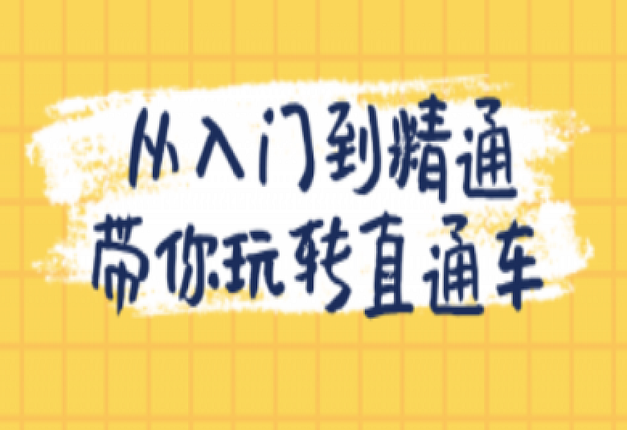 从入门到精通带你玩转直通车