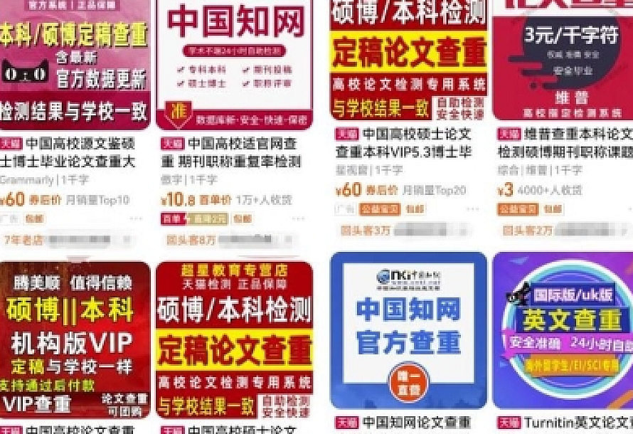 刚需市场“论文查重”副业思路,掌握方法轻松月入过万,玩法无私分享给你