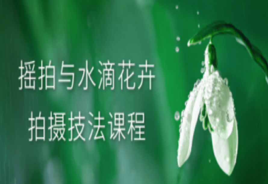 摇拍与水滴花卉拍摄技法课程