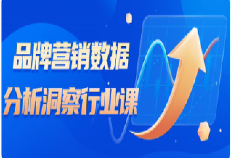 品牌营销数据分析洞察行业课