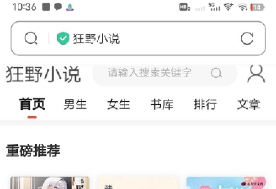 狂雨小说网站源码带管理后台手机端和采集