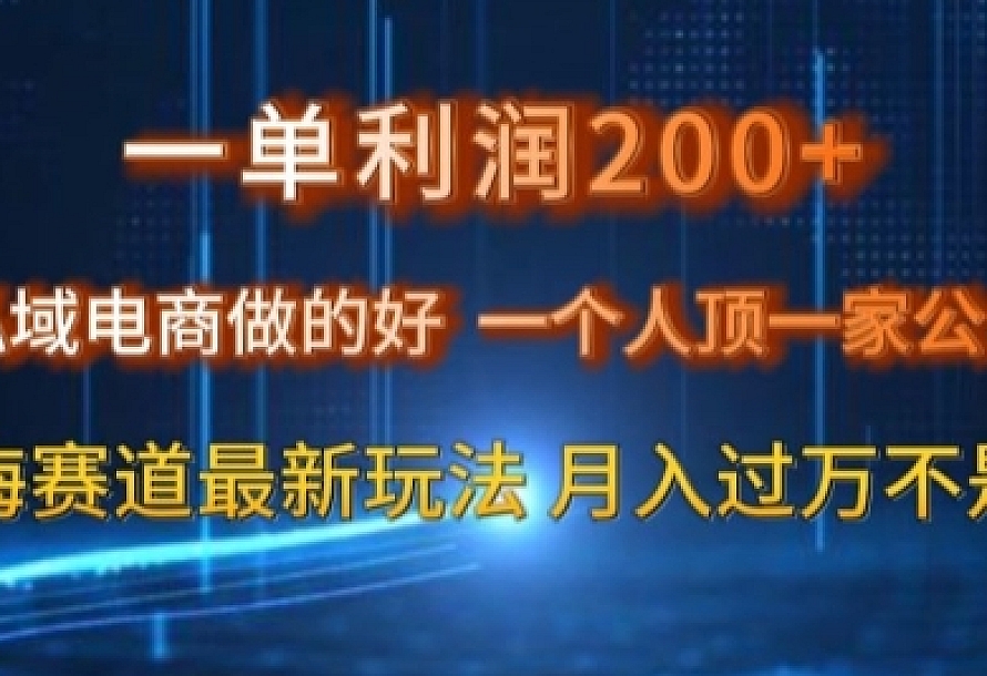 一单利润200私域电商做的好,一个人顶一家公司蓝海赛道最新玩法【揭秘】