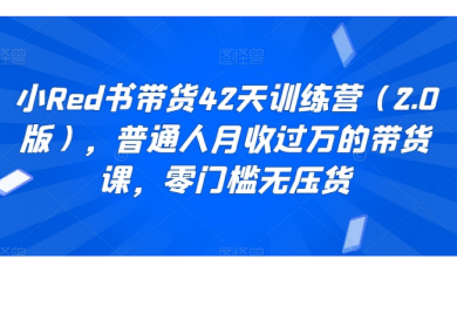 小Red书带货42天训练营(2.0版),普通人月收过万的带货课,零门槛无压货
