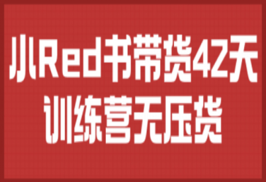 小Red书带货42天训练营无压货