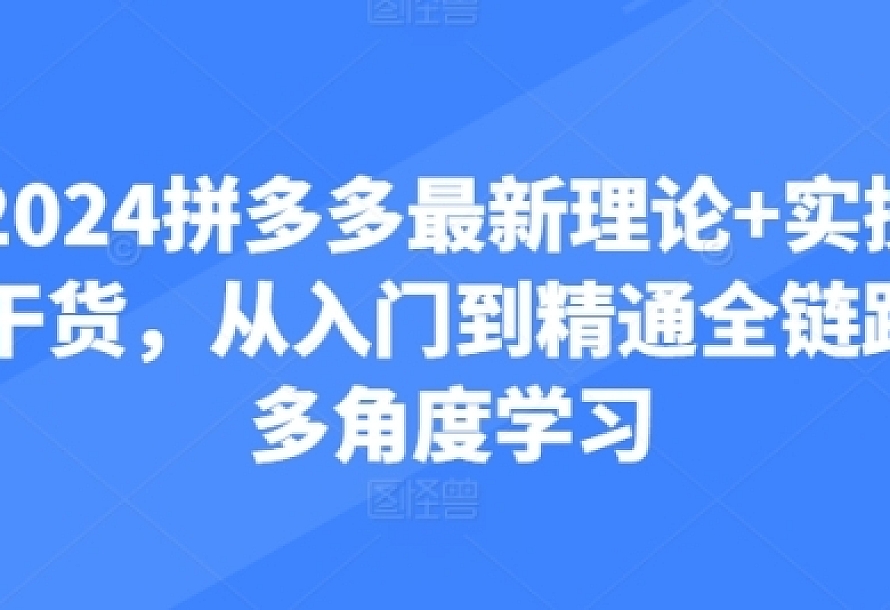 2024拼多多最新理论+实操干货,从入门到精通全链路多角度学习